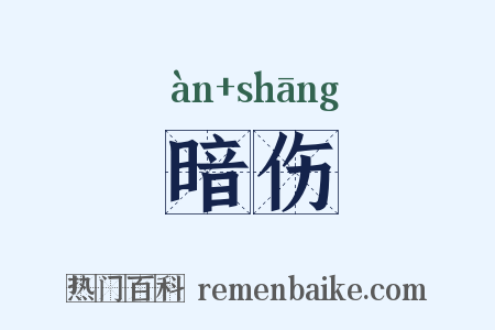 暗伤是什么意思的图片